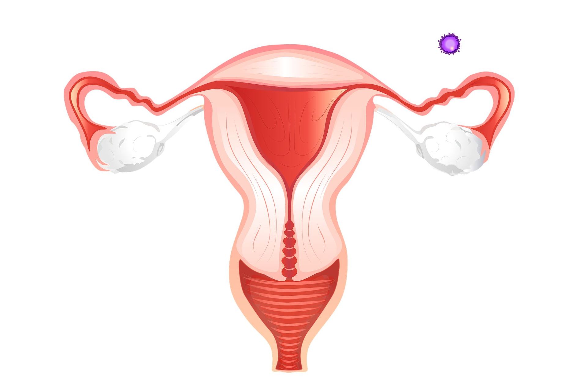 utero