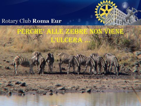 Conferenza tenuta al Rotary club Roma EUR, Distretto 2080