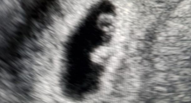 Fertilità